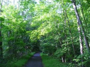 「古仙人道」--每天健走的Trail